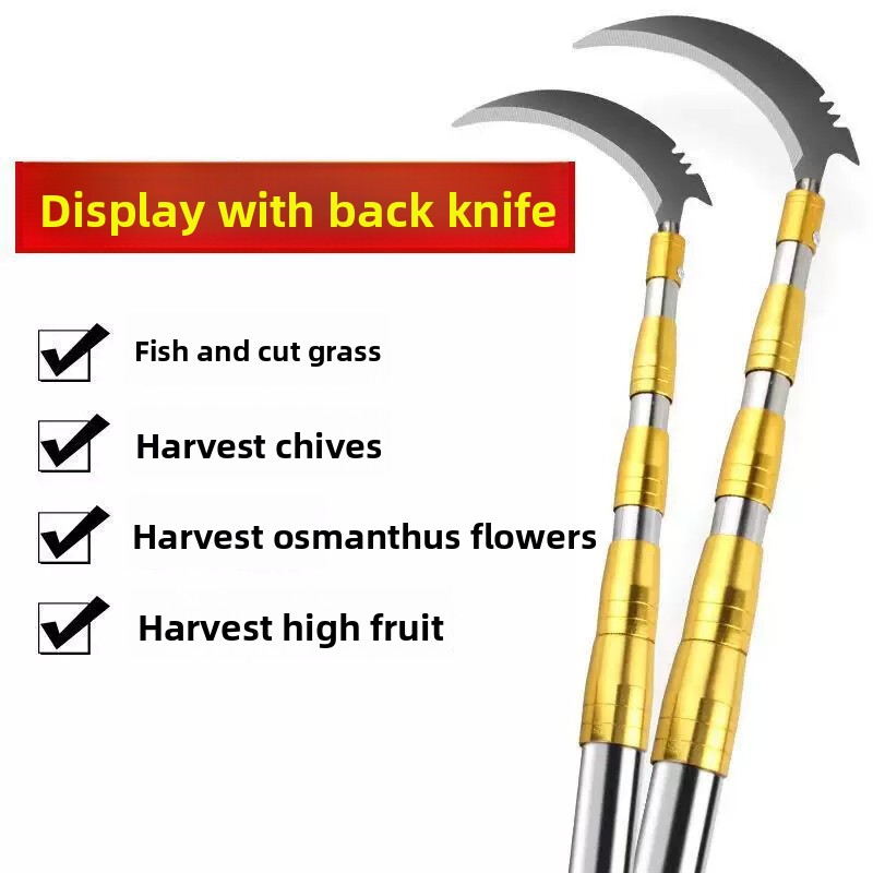 Herramienta de recolección de  - Fishing Equipment Carp reseña y precio