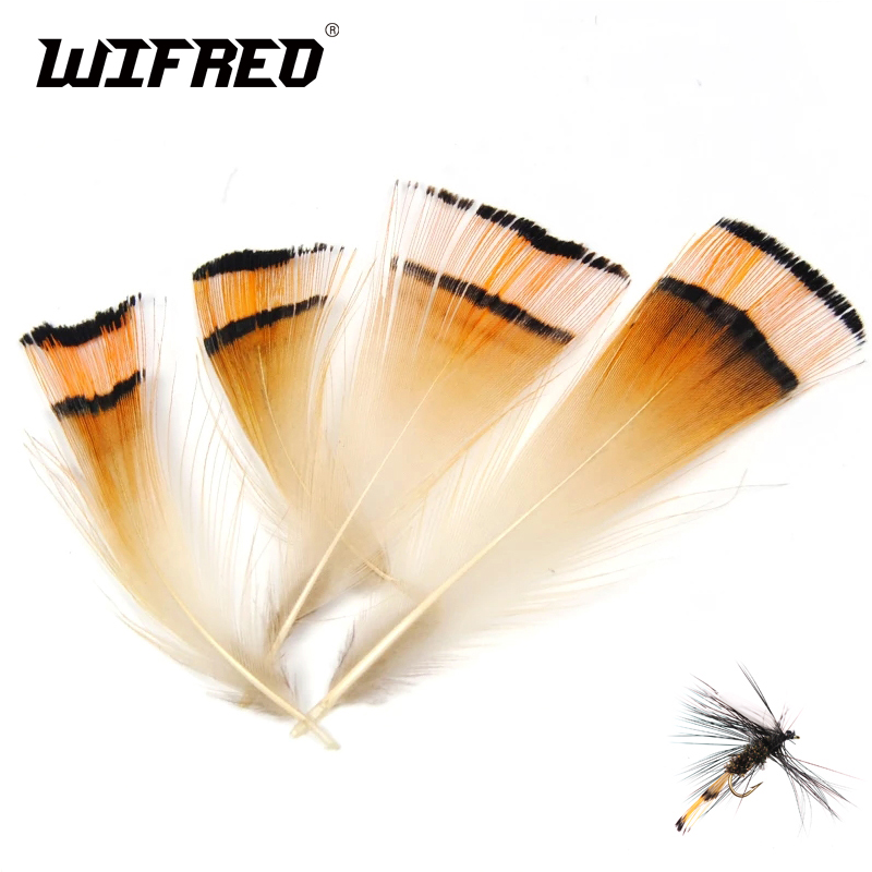 Cresta de cabeza de faisán dor - Fishing Equipment Brands reseña y precio